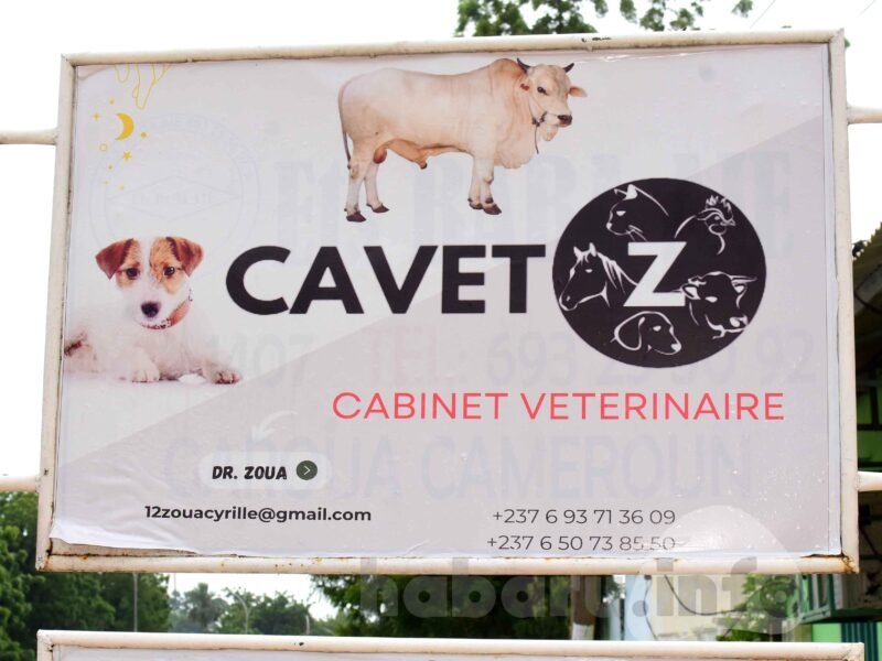 Cabinet Vétérinaire (Cavet)