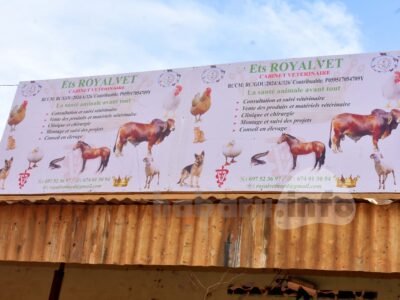 ETS ROYALVET