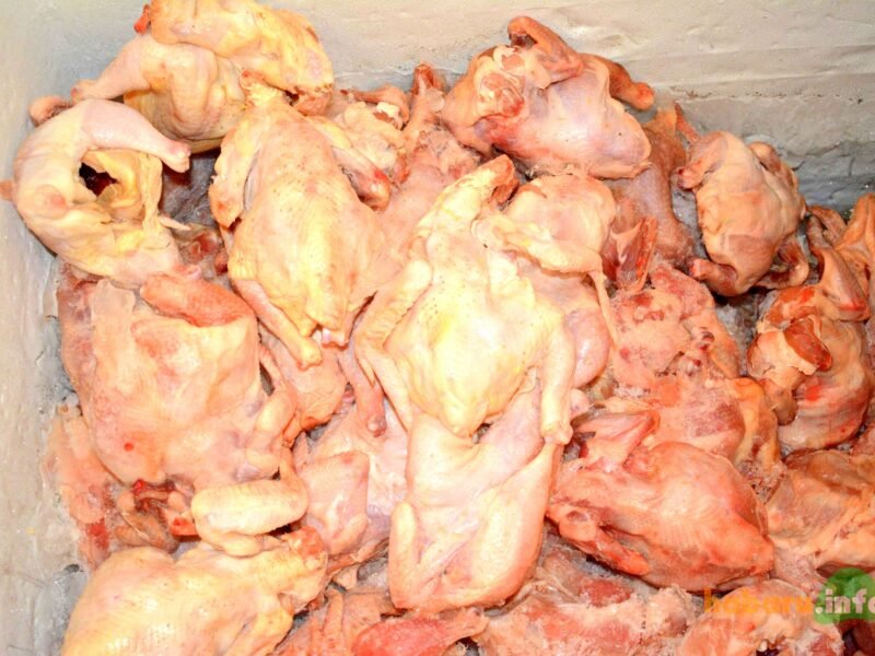 Poulet HALAL