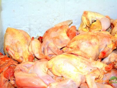 Poulet HALAL