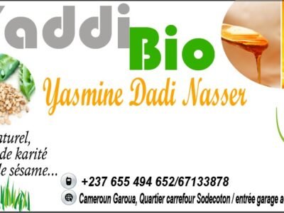 Yaddi Bio