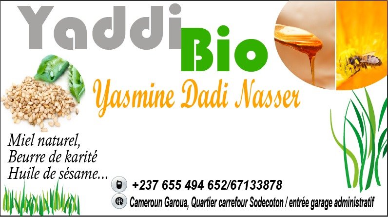 Yaddi Bio