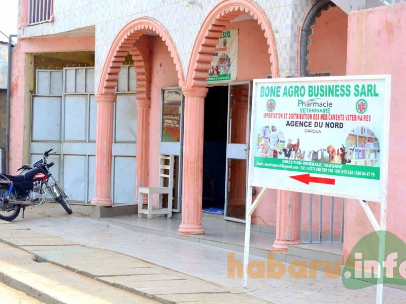 Bone Agros Business Sarl