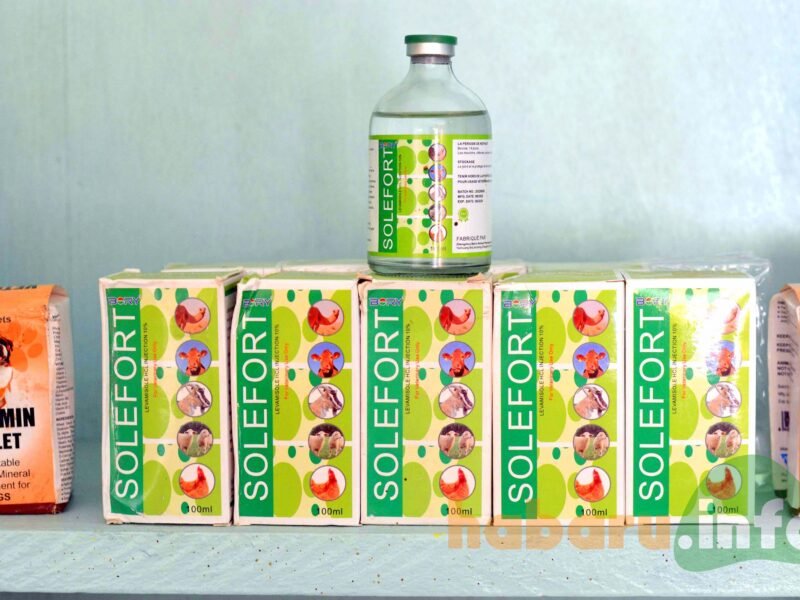 Bone Agros Business Sarl